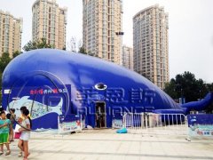 藍鯨百萬海洋球樂園