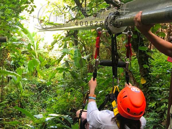 叢林吊軌滑行